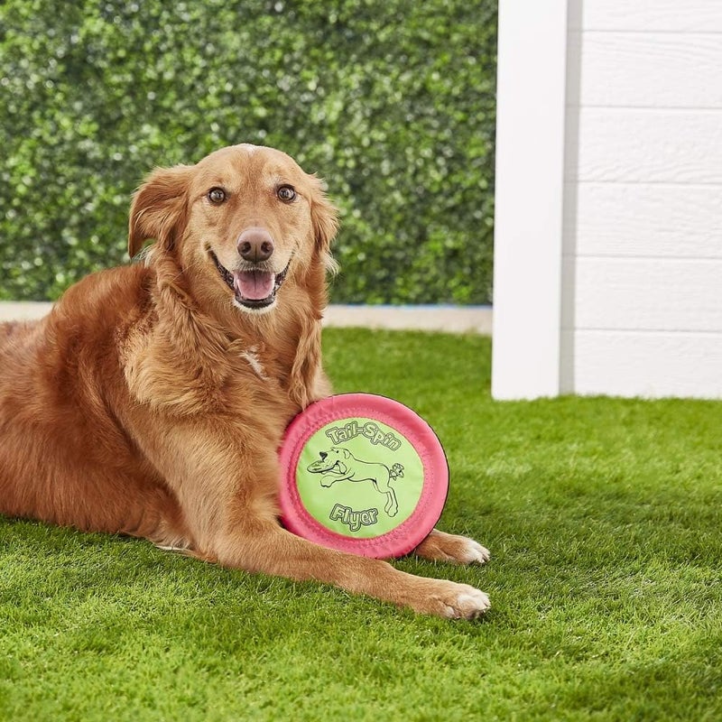 Booda Tail-Spin Flyer - Soft and Flexible Dog Frisbee for Fetch and Water Play - Image 2
